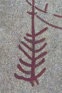 петроглиф ели в Бохуслене