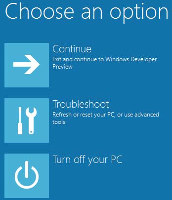 Варианты загрузки Windows 8 Developer Preview
